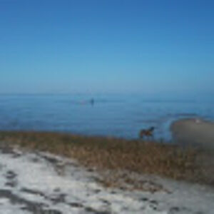 Meet your Posher, Nobledane